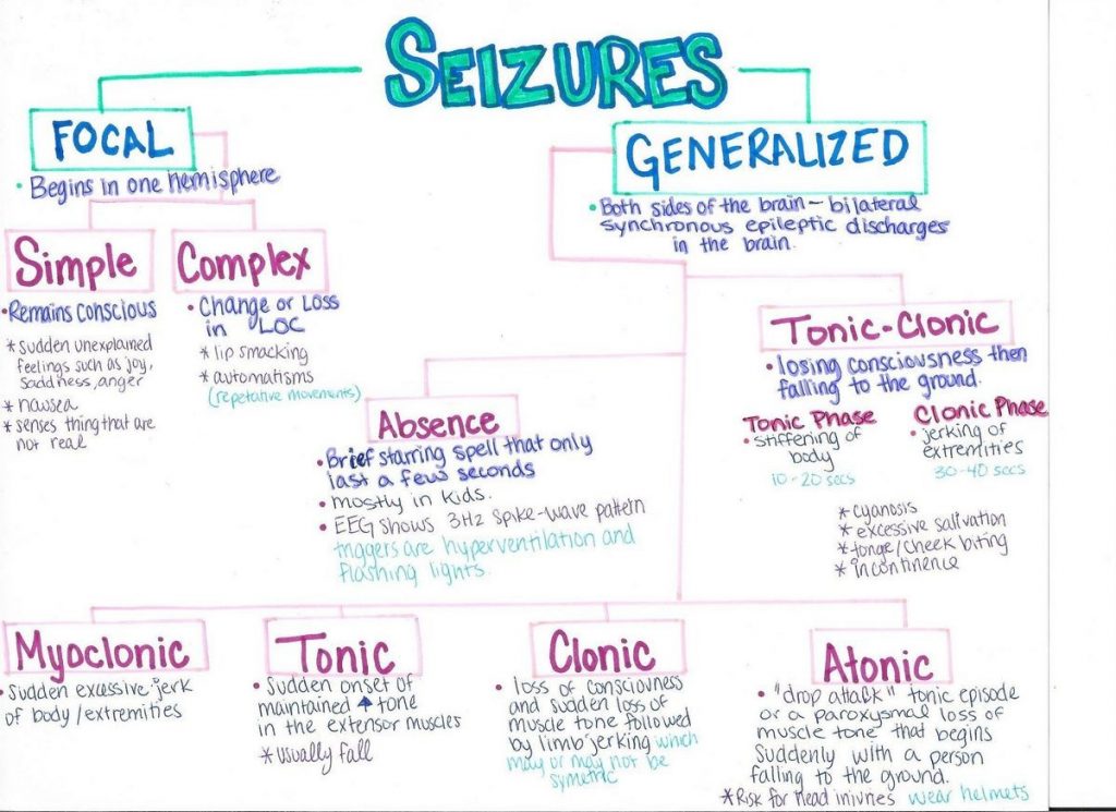 Seizures Symptoms and Types