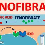 Side Effects of Antara fenofibrate Interactions Warnings