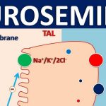 Side Effects of Lasix furosemide Warnings Drug Interactions