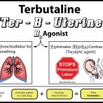 Side Effects of terbutaline Interactions Warnings