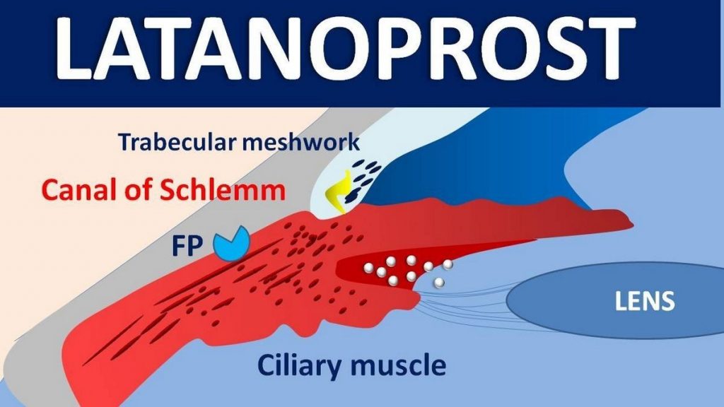 Side Effects of Xalatan latanoprost Interactions Warnings