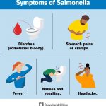 Symptoms of Salmonella Food Poisoning Signs Causes Treatment Prevention