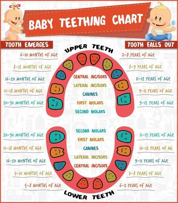 Teething Chart Age Symptoms Fever Rash Home Remedies