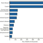 Top 10 Causes of Death in the U S