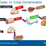 Types of Cross-Contamination and How To Prevent Them