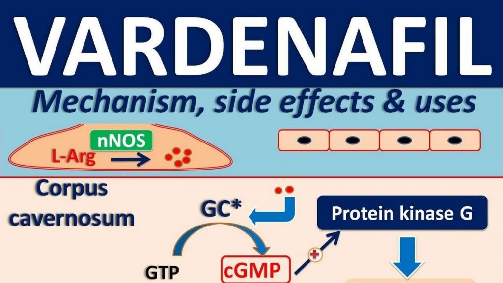 VARDENAFIL – ORAL Levitra side effects medical uses and drug interactions