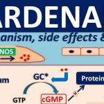 VARDENAFIL – ORAL Levitra side effects medical uses and drug interactions