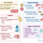 What Are the 4 Main Types of Shock Causes Symptoms