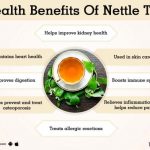 What Are the Benefits of Drinking Nettle Tea Side Effects