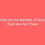 What Are the Benefits of Suma Root and Are There Side Effects