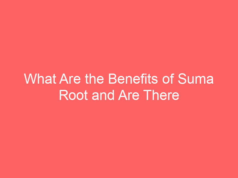 What Are the Benefits of Suma Root and Are There Side Effects