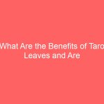 What Are the Benefits of Taro Leaves and Are There Side Effects