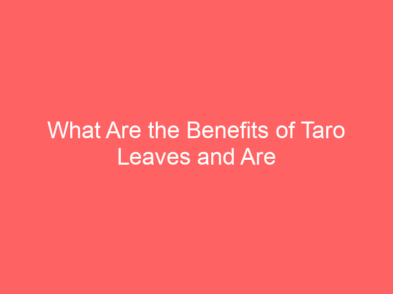 What Are the Benefits of Taro Leaves and Are There Side Effects