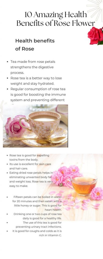 What Are the Health Benefits of Rose Tea and Can You Drink It Every Day