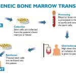 What are the Risks or Complications of a Bone Marrow Procedure