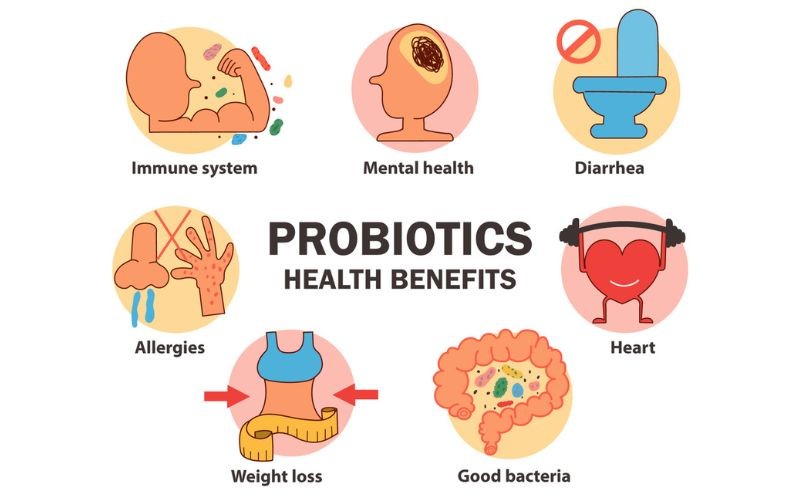 What Are the Signs You Need Probiotics