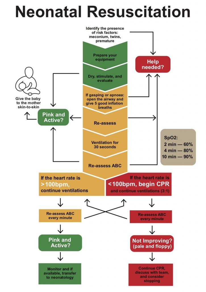 What Do You Mean by Neonatal Resuscitation