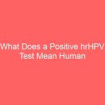 What Does a Positive hrHPV Test Mean Human Papillomavirus