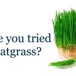 What Does Drinking Wheatgrass Every Day Do for Your Body