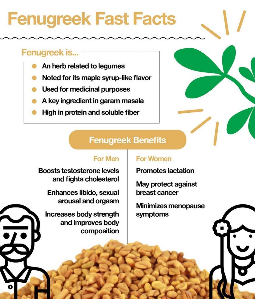 What Does Fenugreek Do for Females 7 Health Benefits Sexual Health Side Effects