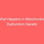 What Happens in Mitochondrial Dysfunction Genetic Disorders