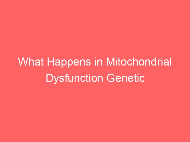 What Happens in Mitochondrial Dysfunction Genetic Disorders