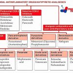 What Is an NSAID Drug List Uses Warnings Side Effects