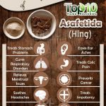 What Is Asafetida 10 Health Benefits Side Effects and Uses