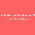 What Is Bacopa Good for and Are There Side Effects