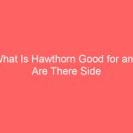 What Is Hawthorn Good for and Are There Side Effects