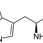 What Is L-Tryptophan and Does It Have Side Effects