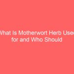 What Is Motherwort Herb Used for and Who Should Not Take It