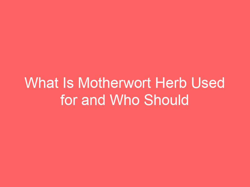 What Is Motherwort Herb Used for and Who Should Not Take It