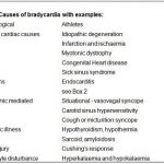 What Is the Most Common Cause of Bradycardia 17 Reasons