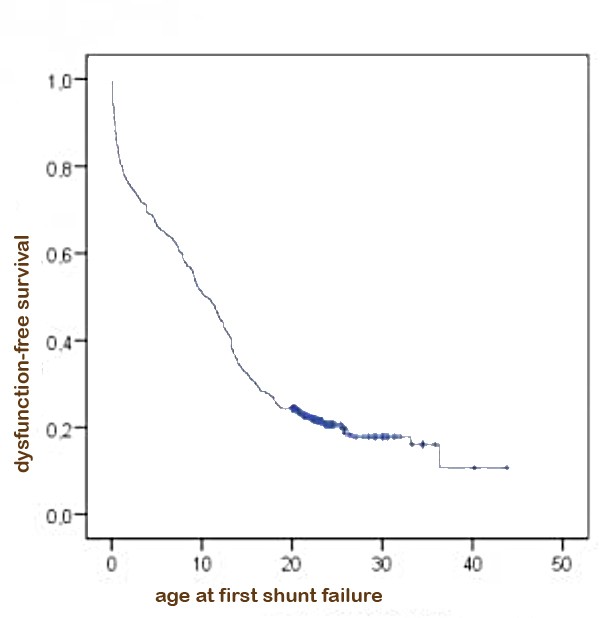 What Is the Survival Rate of Hydrocephalus