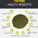 What Is Thyme Good For 25 Benefits Thyme Tea