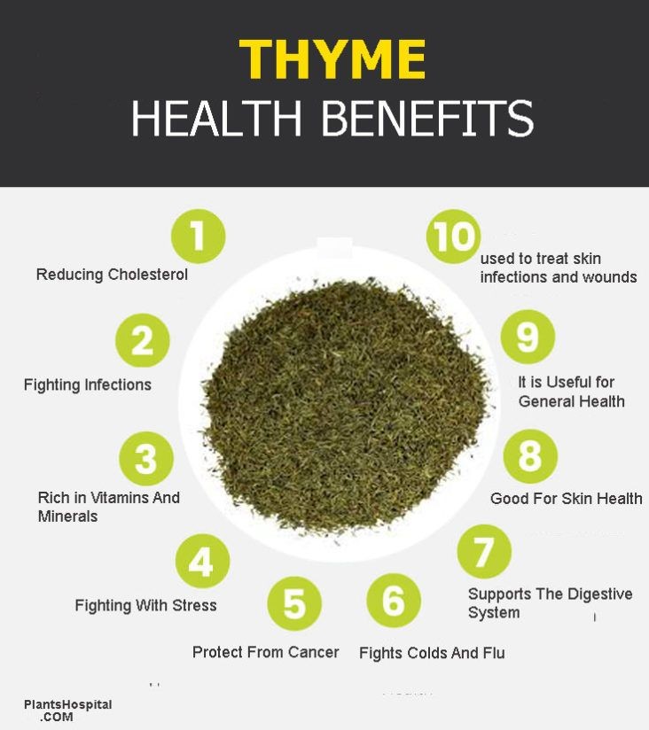 What Is Thyme Good For 25 Benefits Thyme Tea