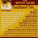 What Is Witch Hazel Used For and When Should You Not Use It