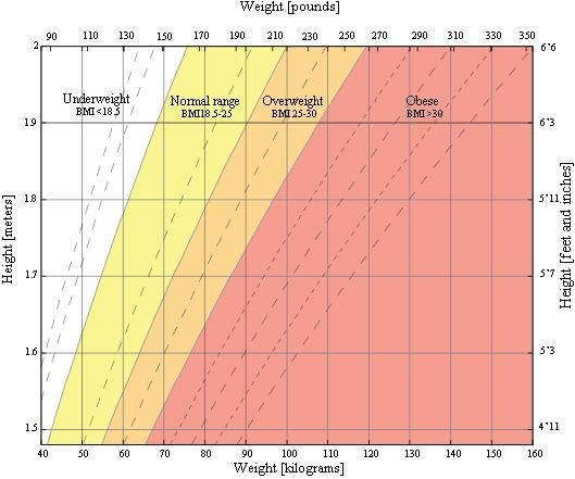 What Should My BMI Be For My Age BMI Calculator and Chart