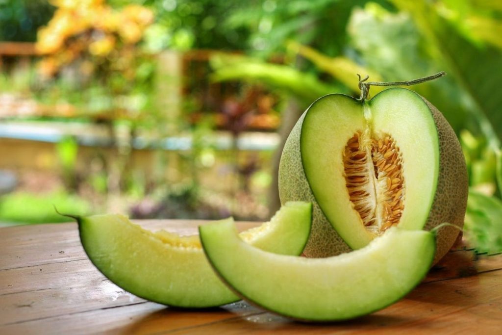 Which Is Better – Honeydew Melon or Cantaloupe