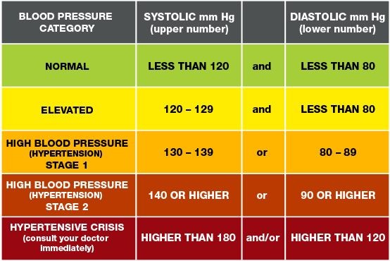 Why Is My Bottom Blood Pressure Number High Hypertension BP Levels