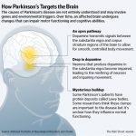 Zelapar for Parkinson s Disease Drug Side Effects Warnings