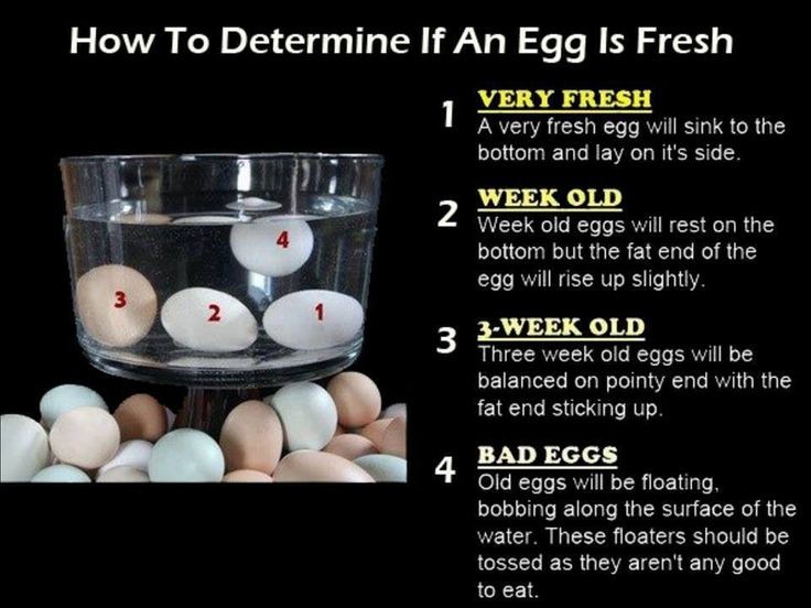 How to Tell if an Egg Is Good or Bad