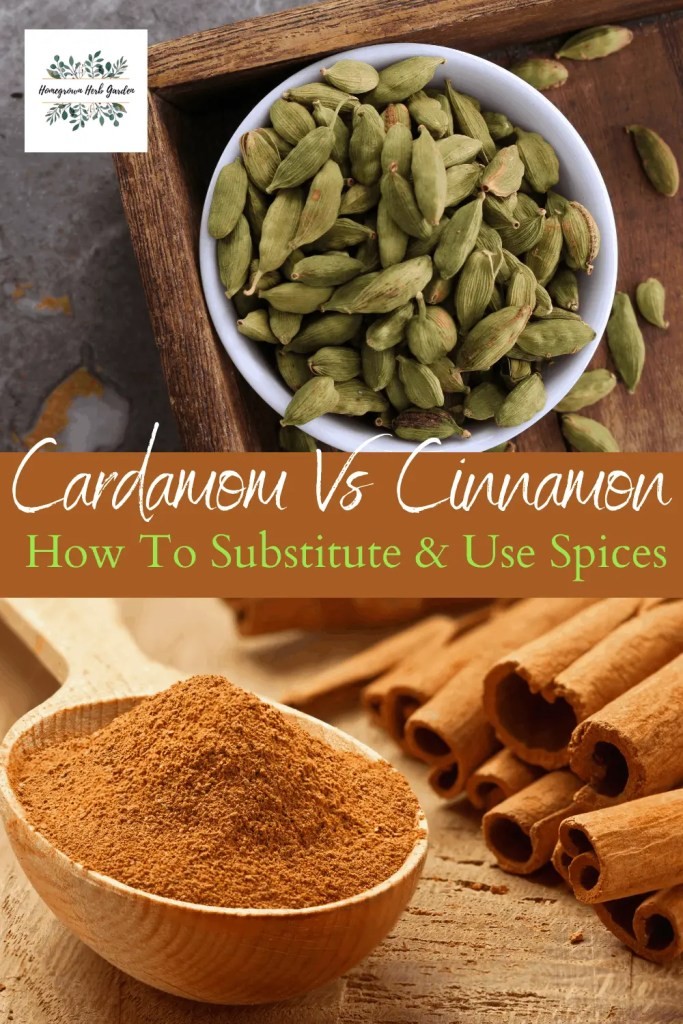 Is Cardamom or Cinnamon Healthier for You