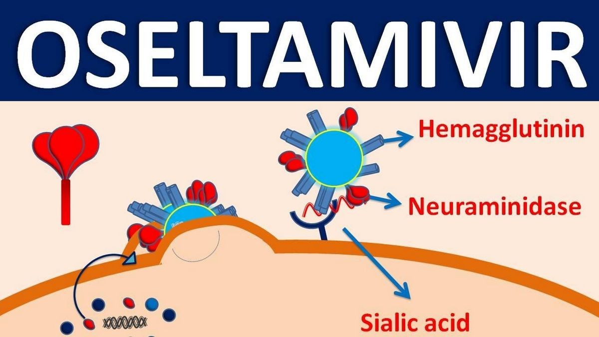 OSELTAMIVIR SUSPENSION - ORAL Tamiflu side effects medical uses and drug interactions