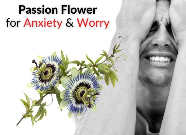 Passion Flower Anxiety Uses Warnings Side Effects Dosage