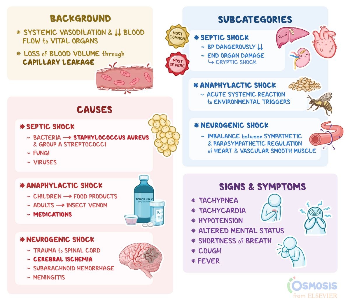Shock 5 Types Treatment Symptoms 8 Main Causes