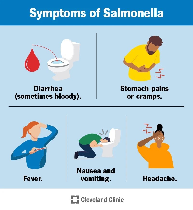 Symptoms of Salmonella Food Poisoning Signs Causes Treatment Prevention