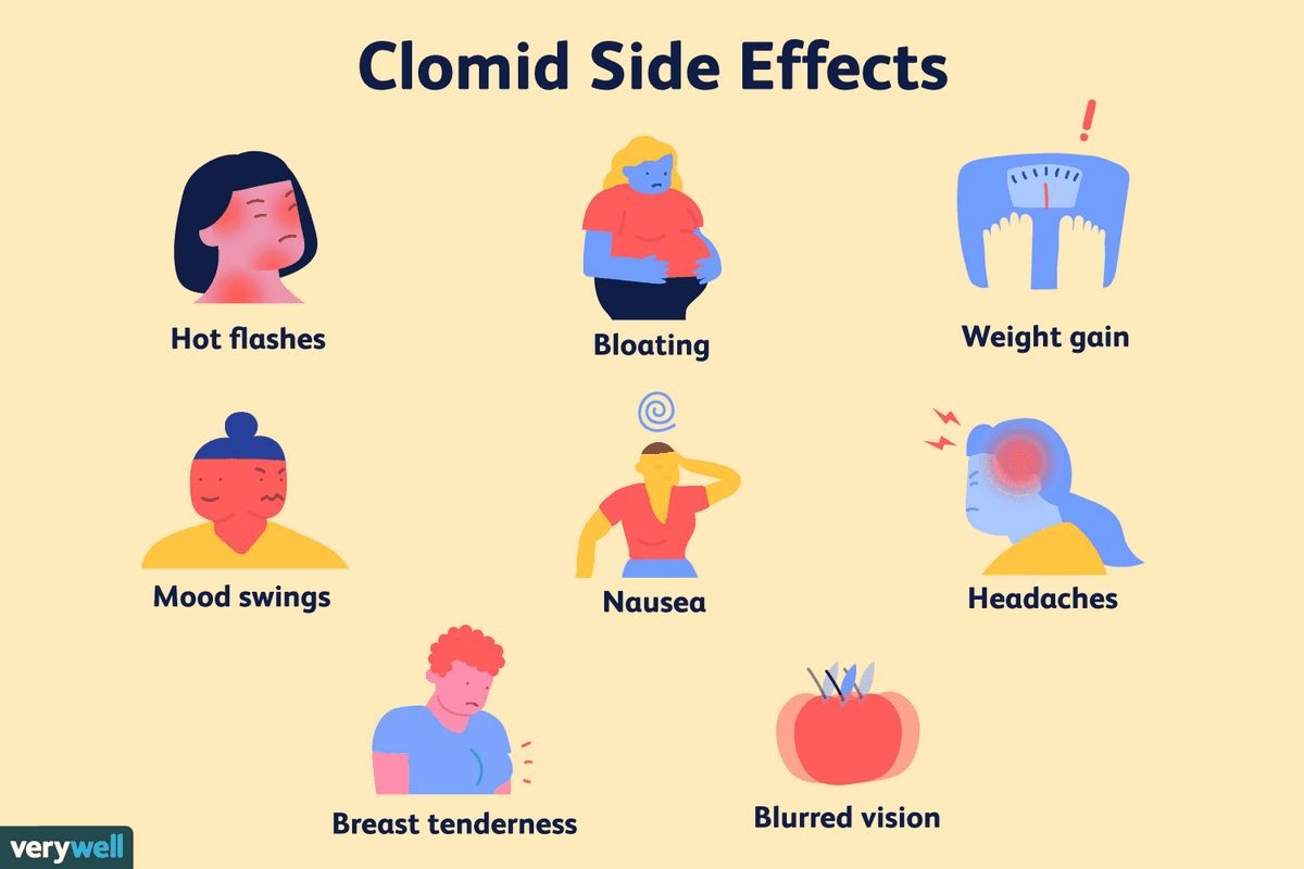 Side Effects of Clomid clomiphene Interactions Warnings