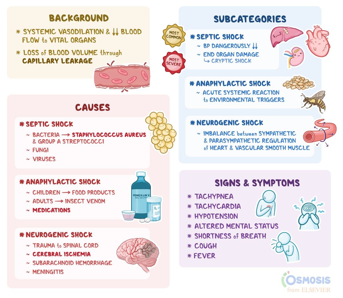 What Are the 4 Main Types of Shock Causes Symptoms